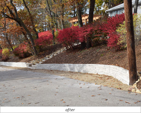 Natural Stone: After Photo 1