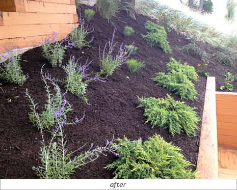 Dodson: After Photo 1