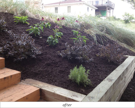 Dodson: After Photo 2