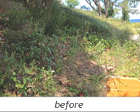 Dodson: Before Photo 1