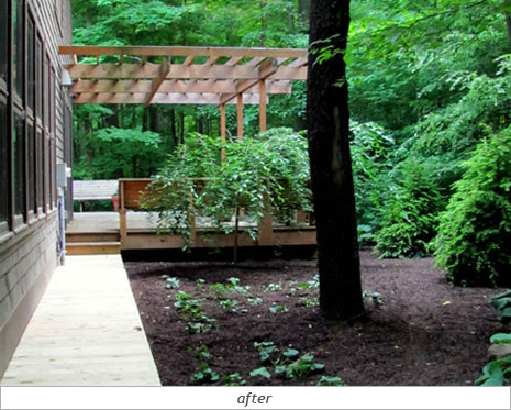 Backyard Oasis: After Photo 2