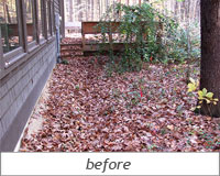 Backyard Oasis: Before Photo 2