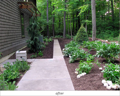 Backyard Oasis: After Photo 1