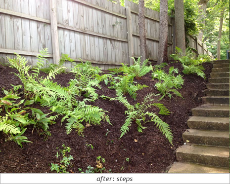 Weekend Retreat: After Photo 4