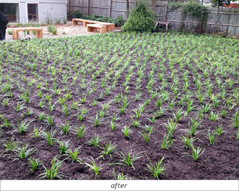 Weekend Retreat: Mid-Progress Photo 6c