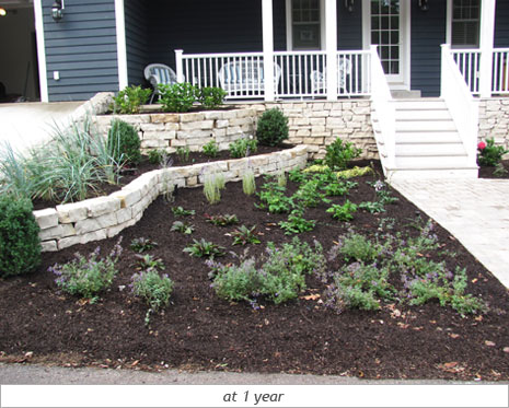 Inviting Pathway: After Photo 4