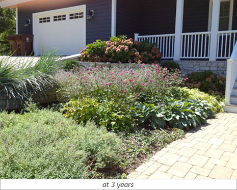 Inviting Pathway: After Photo 5