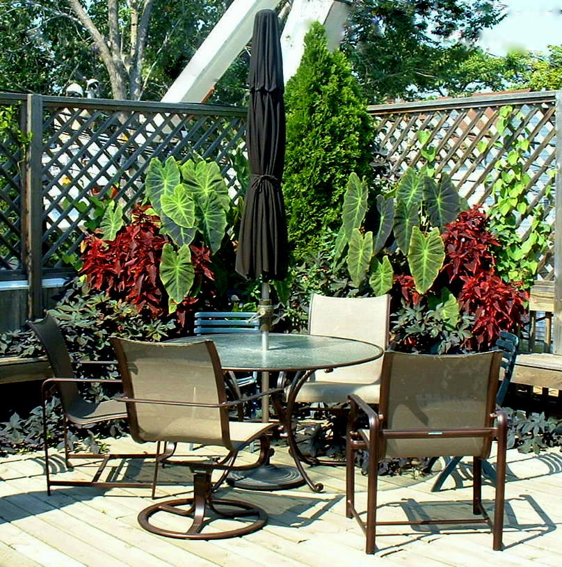 Rooftop Retreat After Photo 3