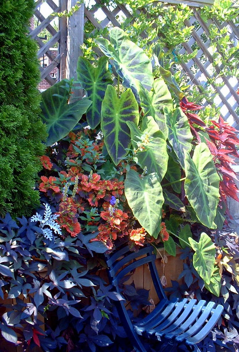 Rooftop Retreat After Photo 5