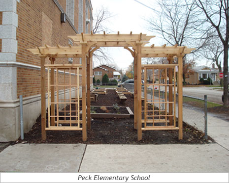 In the Community: Peck Elementary 3