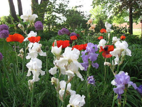 Gardner's Garden Photo 4