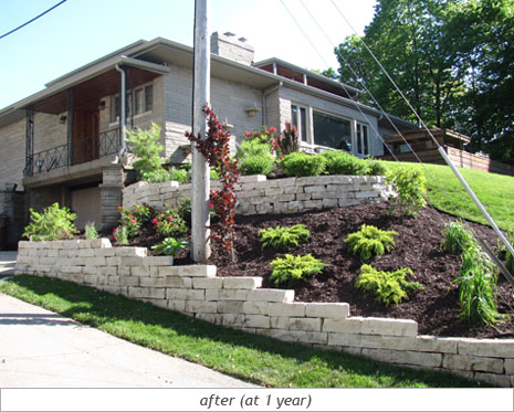 Hillside Beauty: After Photo 1