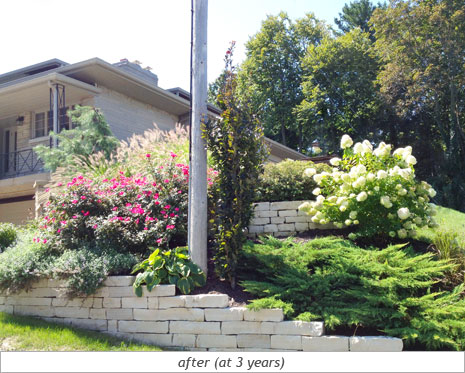 Hillside Beauty: After Photo 4