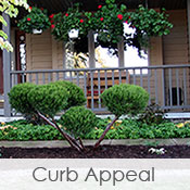 Curb Appeal