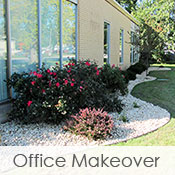 Office Makeover