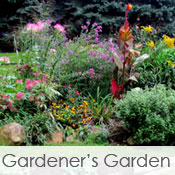 Gardener's Garden